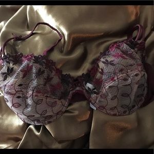Suzanne Vega Burgundy Sheer Floral Lace Bra Set
